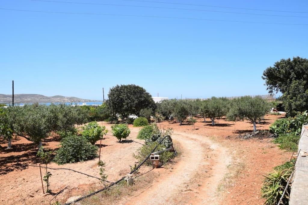 Villa Gardenparadise Sifnaios In Paros Exterior foto